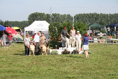 du domaine de la patte blanche - SPECIALE de Race Strasbourg -Hoerdt - CACS