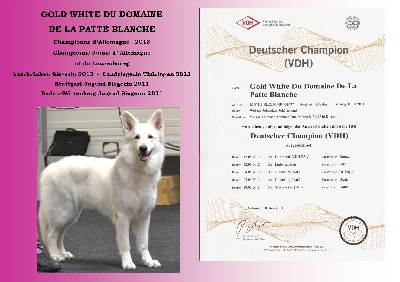 du domaine de la patte blanche - Un nouveau titre de champion 