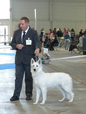 du domaine de la patte blanche - KARLSRUHE 2013