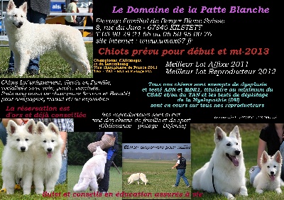 du domaine de la patte blanche - 2 Mariages fabuleux pour 2013