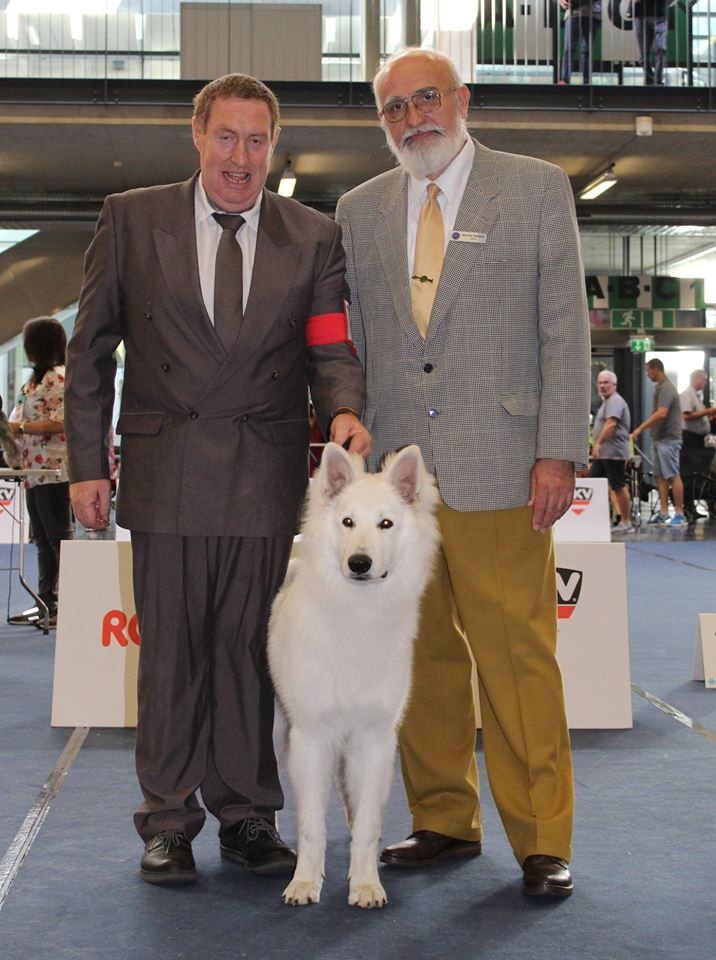 du domaine de la patte blanche - NEW WHITE WOLF DU DOMAINE DE LA PATTE BLANCHE