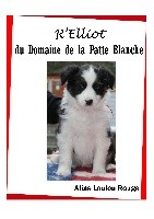 R'ELIOTT du Domaine de la Patte Blanche 