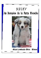 RILEY du Domaine de la Patte Blanche 