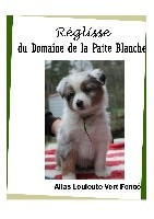 REGLISSE du Domaine de la Patte Blanche 
