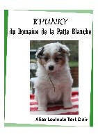 R'PUNKY du Domaine de la Patte Blanche 